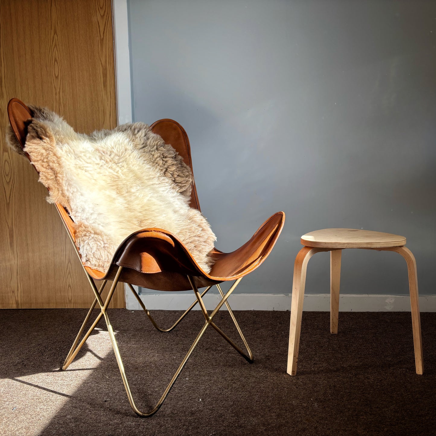 Shetland Sheepskin (Medium)