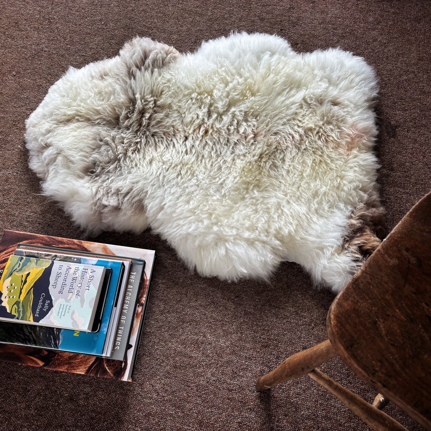 Shetland Sheepskin (Medium)