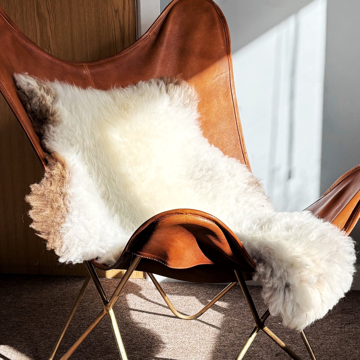 Shetland Sheepskin (Medium)